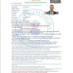 Визы в Индию в 2025: Визовый центр Online